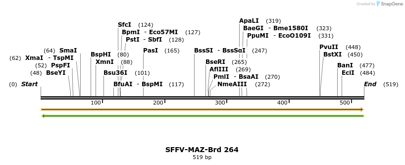 428098_map