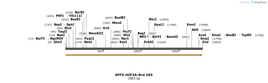 428101_map