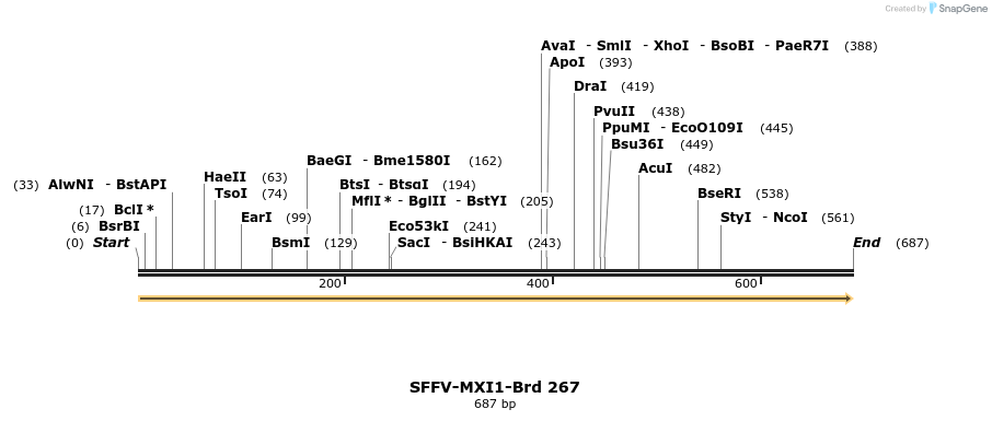 428107_map