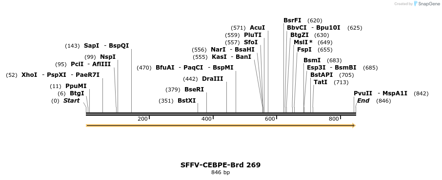 428113_map