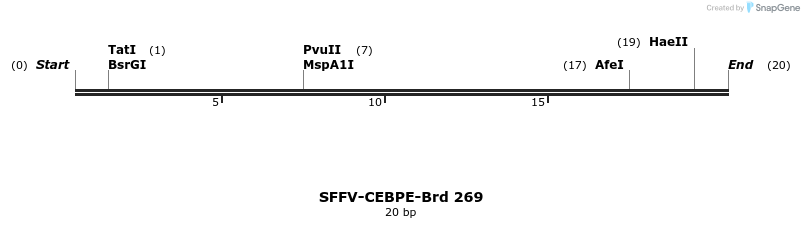 428114_map