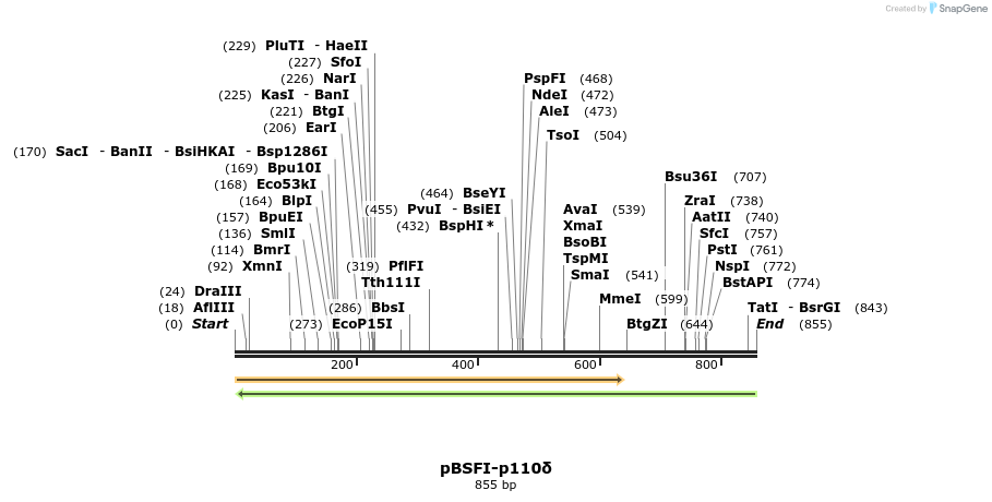 42812_map