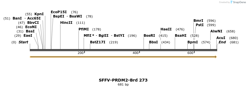 428125_map