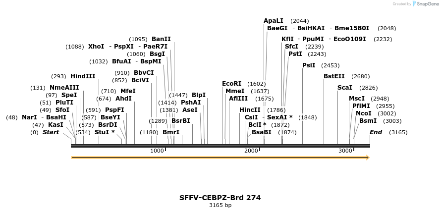 428128_map