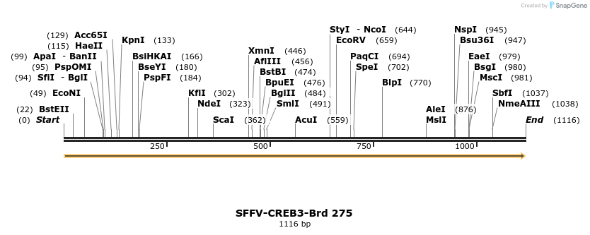 428131_map
