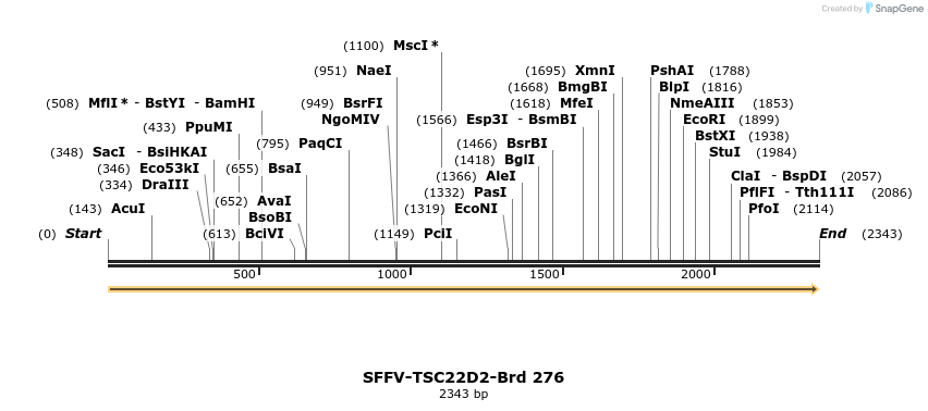428134_map