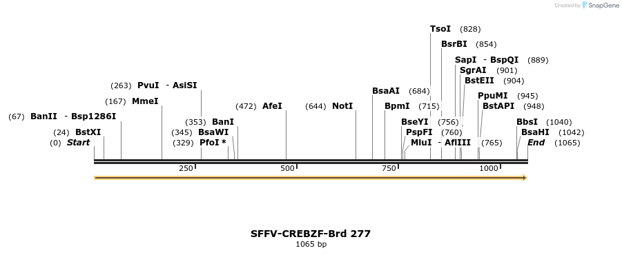 428137_map