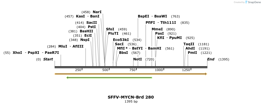 428143_map