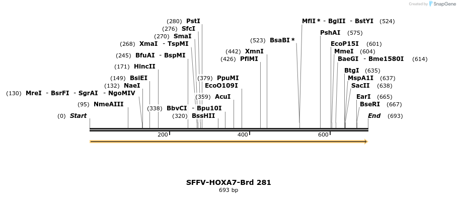 428146_map
