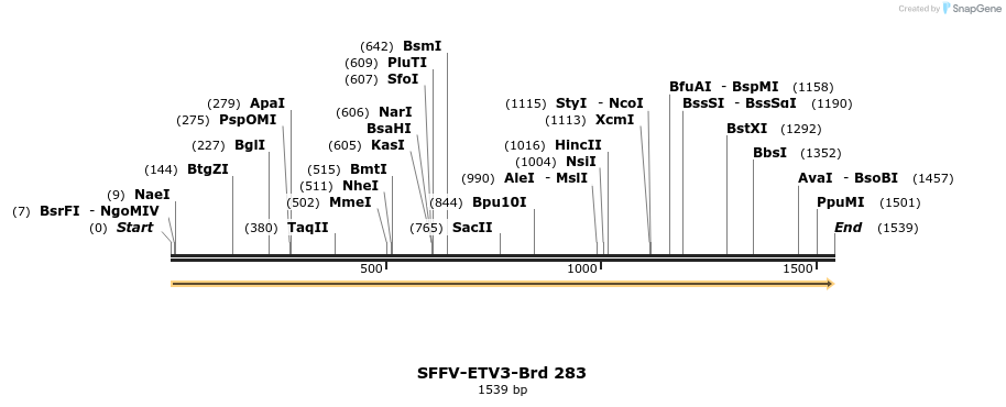 428152_map