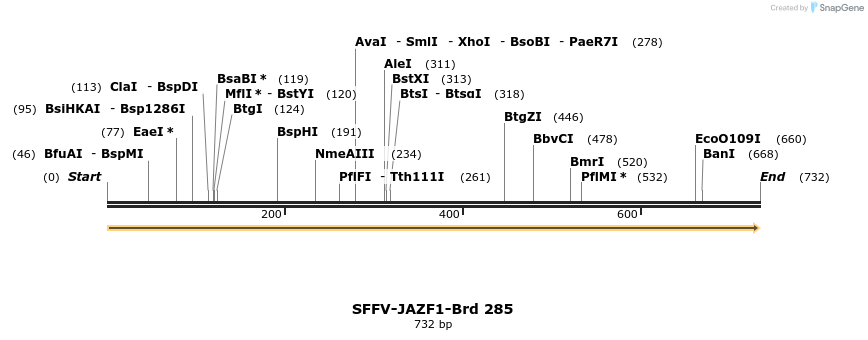 428158_map