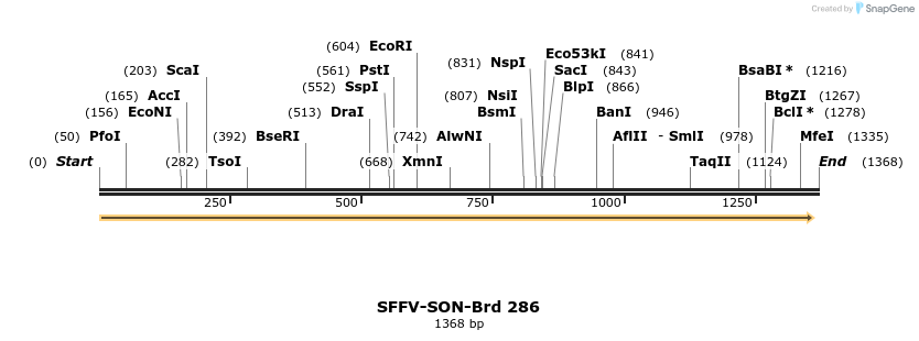 428161_map