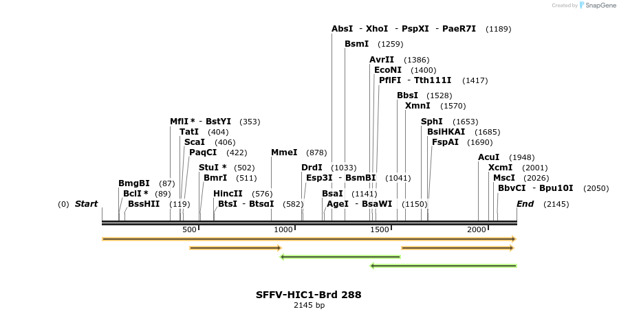 428167_map