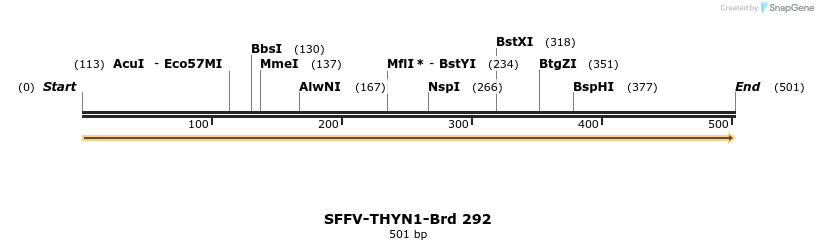 428170_map