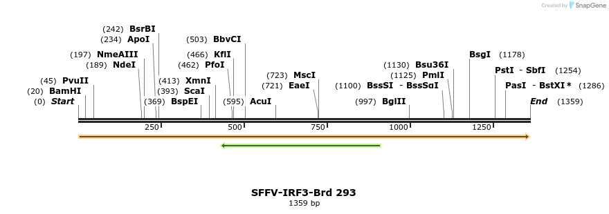 428173_map