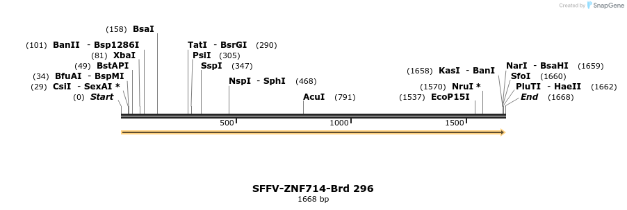 428179_map