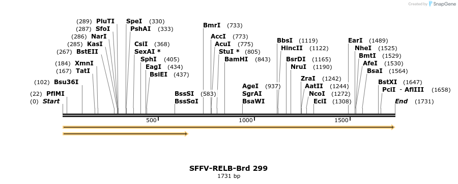 428185_map
