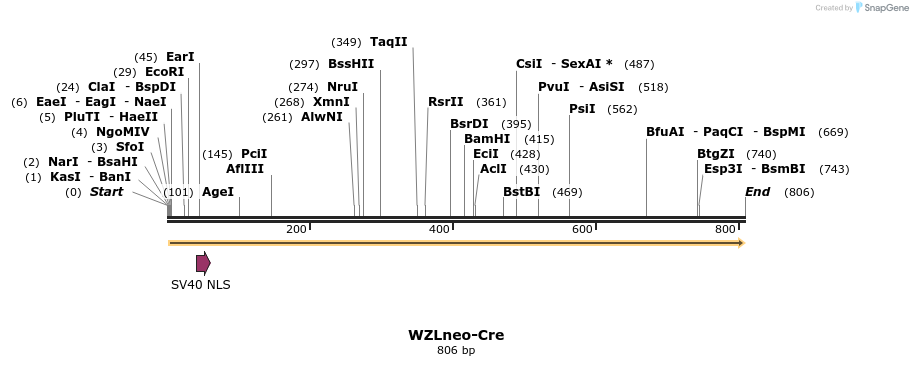 42819_map