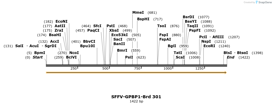 428191_map
