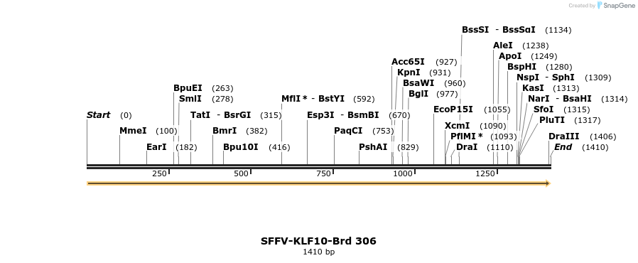 428200_map