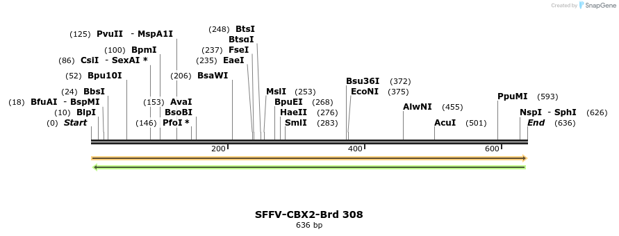 428206_map