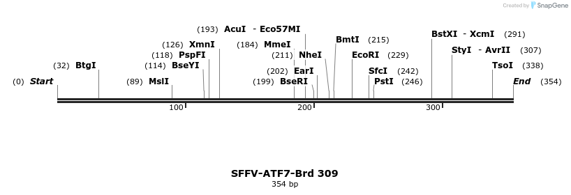 428209_map