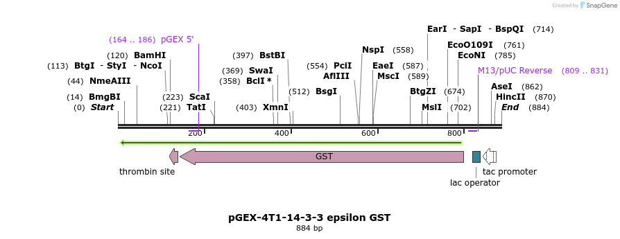 42821_map