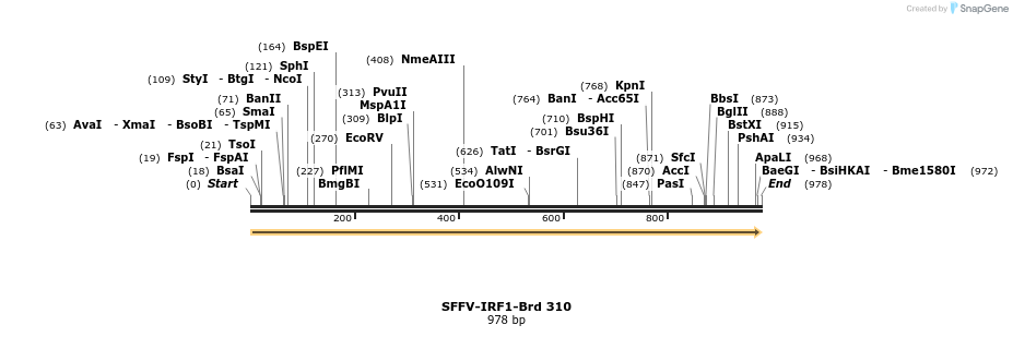 428212_map