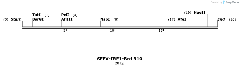 428213_map