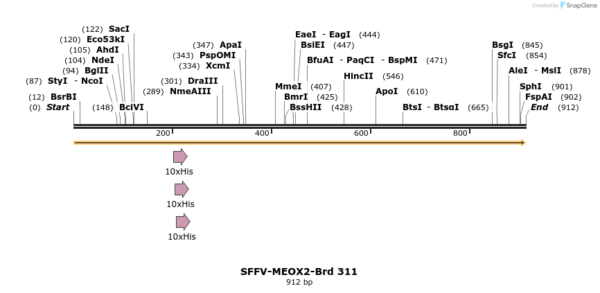 428215_map
