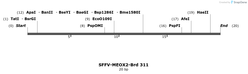 428216_map