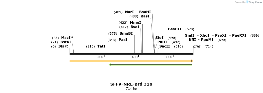 428224_map