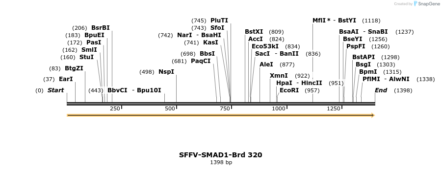 428230_map