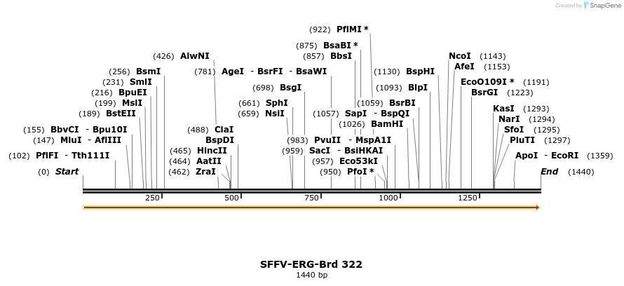 428236_map