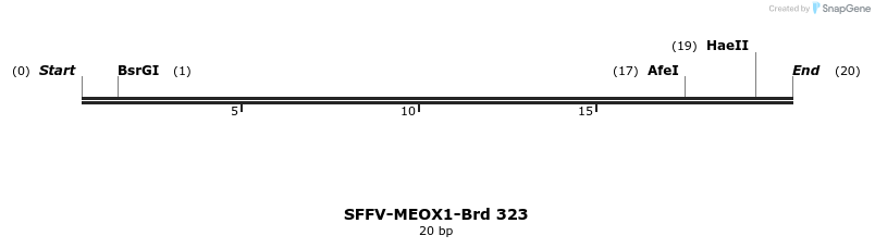 428240_map
