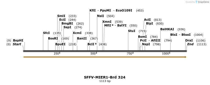 428242_map
