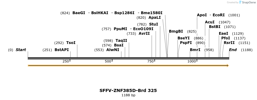 428245_map
