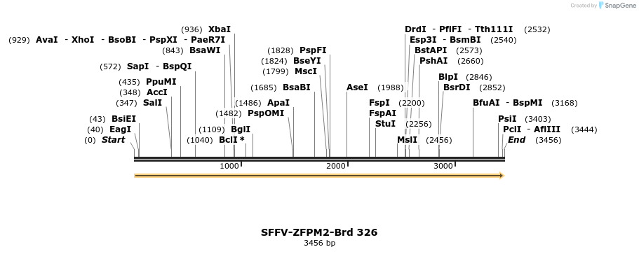 428248_map