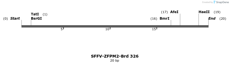 428249_map