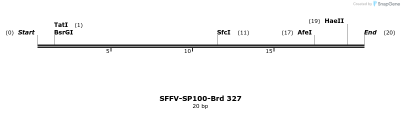 428252_map