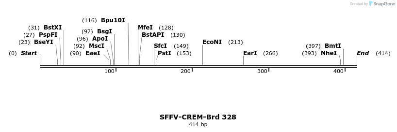 428254_map