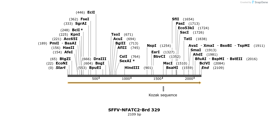 428257_map