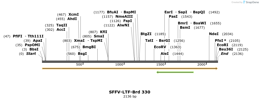 428260_map