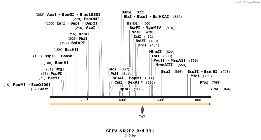 428263_map