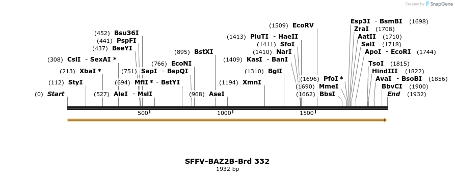 428266_map