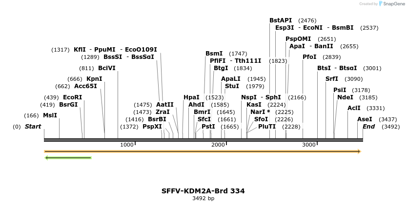 428269_map