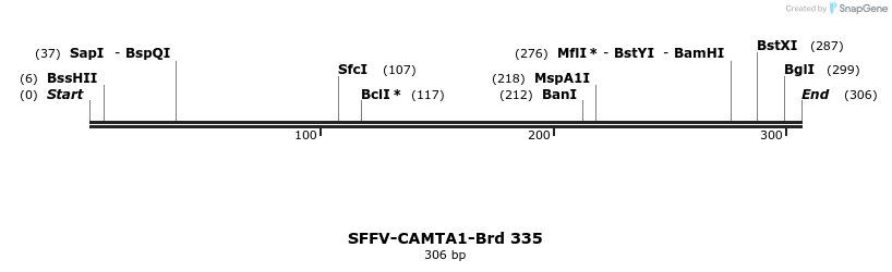 428272_map
