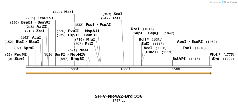 428275_map
