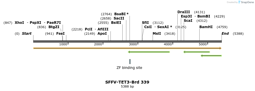 428278_map