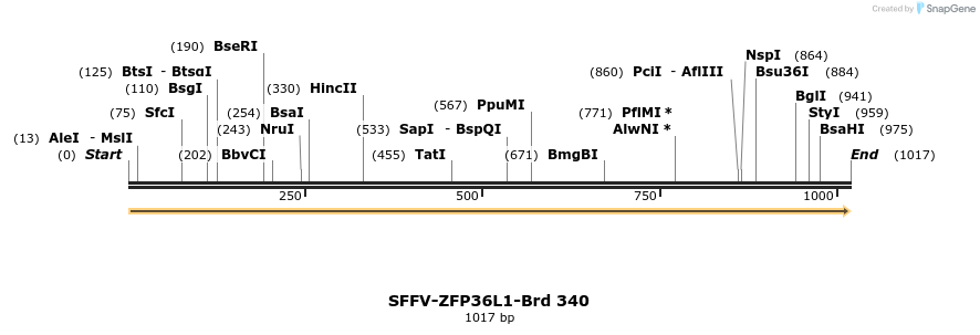 428281_map